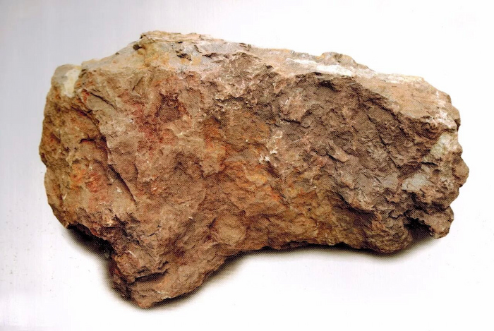 hồng-b&igrave;-long-2.jpg